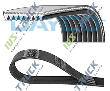 Ремень поликлиновой DAYCO 8PK2285HD